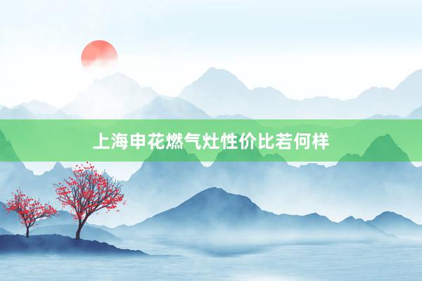 上海申花燃气灶性价比若何样
